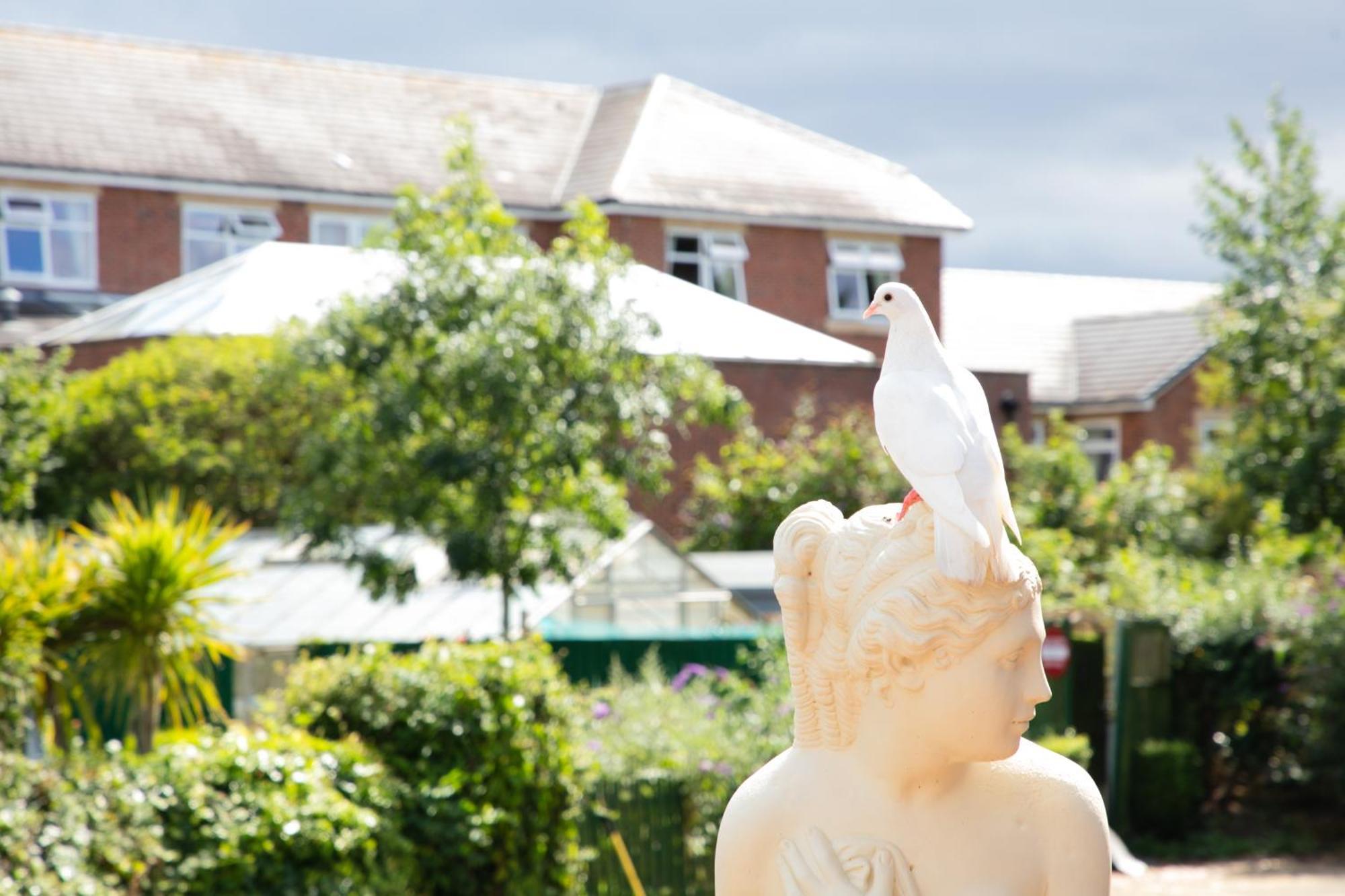Dorset Arms Hotel Wallsend Kültér fotó