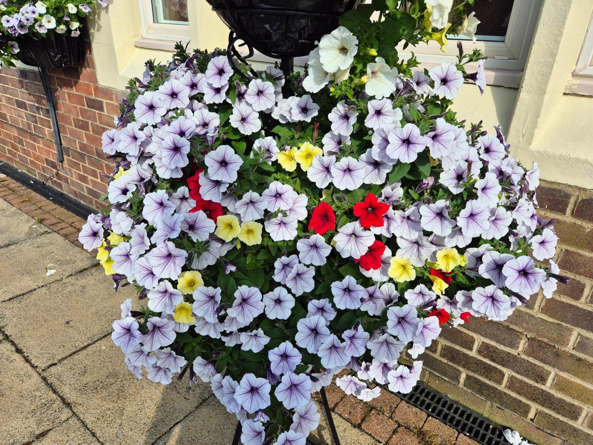 Dorset Arms Hotel Wallsend Kültér fotó